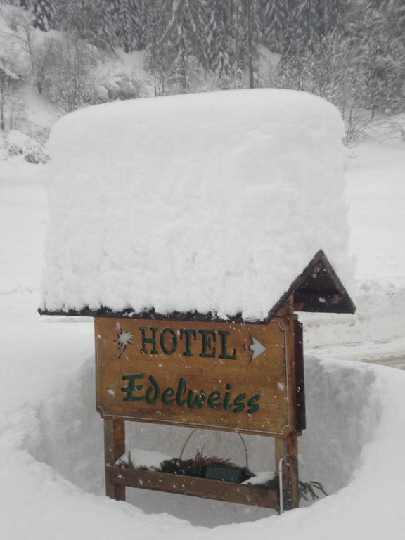 Hotel Edelweiss Val di Zoldo Zewnętrze zdjęcie